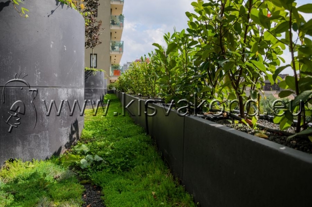 kisvakondpark_kft-corvin_sun_resort_tetokert-kerttervezes-parkepites-parkfenntartas-intenziv_tetokert-10