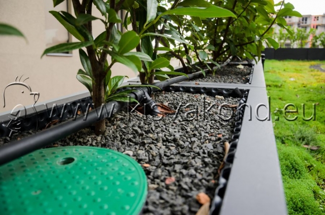 kisvakondpark_kft-corvin_sun_resort_tetokert-kerttervezes-parkepites-parkfenntartas-intenziv_tetokert-12