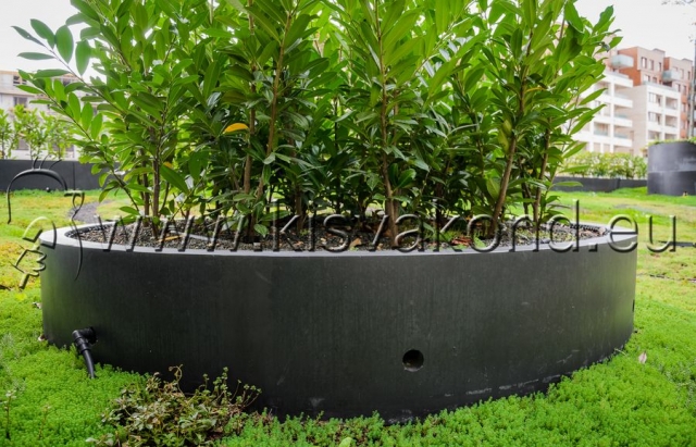 kisvakondpark_kft-corvin_sun_resort_tetokert-kerttervezes-parkepites-parkfenntartas-intenziv_tetokert-13