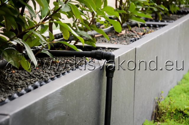 kisvakondpark_kft-corvin_sun_resort_tetokert-kerttervezes-parkepites-parkfenntartas-intenziv_tetokert-14