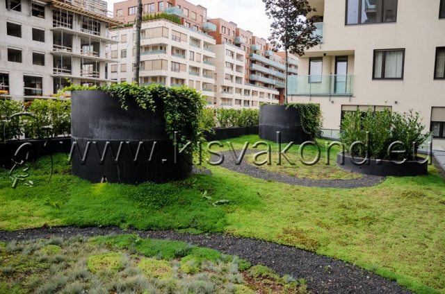 kisvakondpark_kft-corvin_sun_resort_tetokert-kerttervezes-parkepites-parkfenntartas-intenziv_tetokert-15