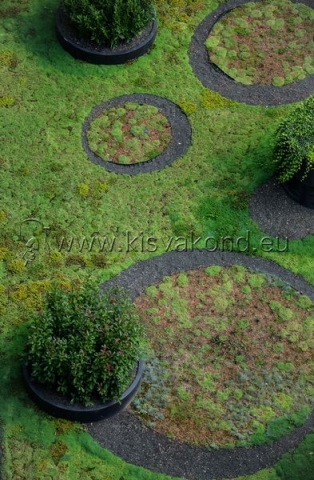 kisvakondpark_kft-corvin_sun_resort_tetokert-kerttervezes-parkepites-parkfenntartas-intenziv_tetokert-3
