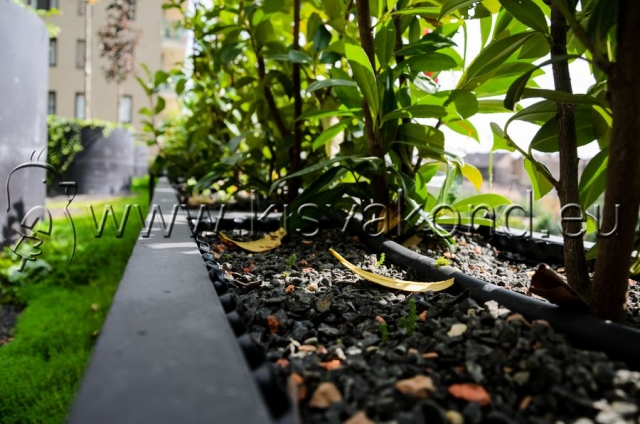 kisvakondpark_kft-corvin_sun_resort_tetokert-kerttervezes-parkepites-parkfenntartas-intenziv_tetokert-8