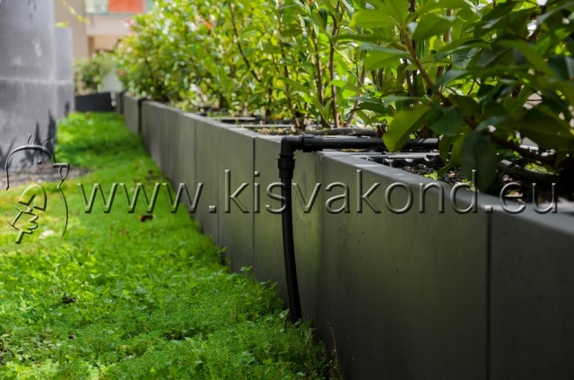 kisvakondpark_kft-corvin_sun_resort_tetokert-kerttervezes-parkepites-parkfenntartas-intenziv_tetokert-9